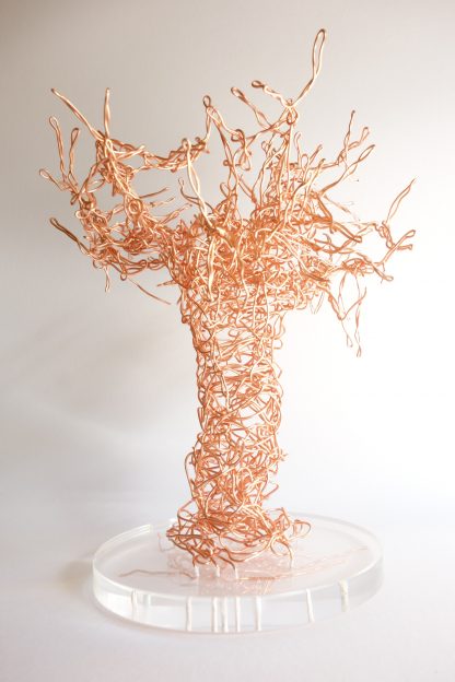 Copper wire artwork with clear perspex round base